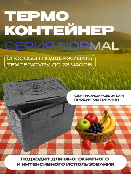 Термоконтейнер TERMOBOX Бытовой Normal, 14 л, 400х300х220 мм, 40кг/м3
