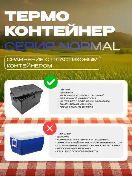 Термоконтейнер TERMOBOX Бытовой Normal, 18 л, 400х300х270 мм, 40кг/м3