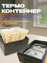 Термоконтейнер TERMOBOX Бытовой Normal, 32 л, 600х400х240 мм, 40кг/м3
