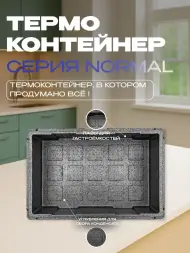 Термоконтейнер TERMOBOX Бытовой Normal, 46 л, 600х400х320 мм, 40кг/м3