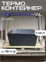 Термоконтейнер TERMOBOX Бытовой Normal, 131 л, 800х600х450 мм, 40кг/м3