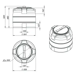 Емкость T 100л под плотность до 1.2 г/см3 синяя